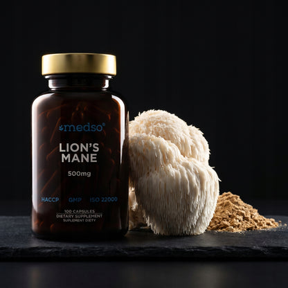 Soplówka Jeżowata Lion's Mane 500mg 100kaps.