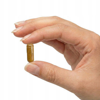 Liver Support Forte (Wsparcie wątroby) 100kaps.