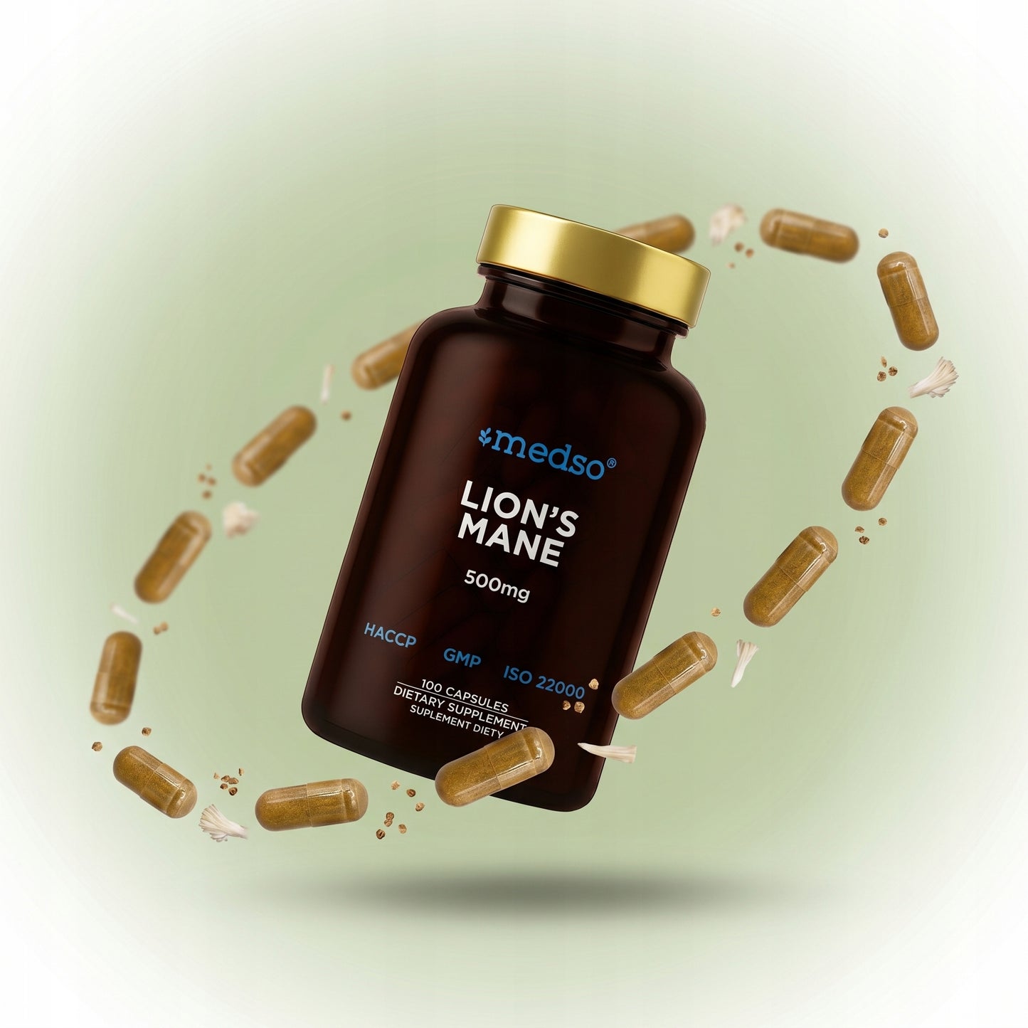 Soplówka Jeżowata Lion's Mane 500mg 100kaps.